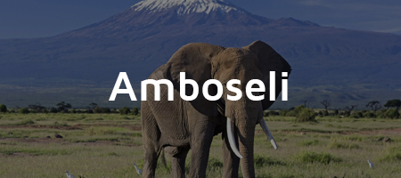 amboseli-national-park