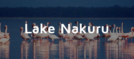 lake-nakuru-national-park