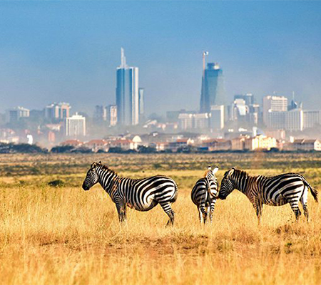 nairobi-national-park-tour